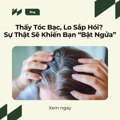 Sự Thật Chưa Biết: Tóc Bạc Và Rụng Tóc Có Liên Quan Đến Nhau Không?