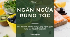 Chế Độ Dinh Dưỡng 