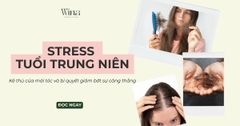 Stress Tuổi Trung Niên: Kẻ Thù Mái Tóc & Bí Quyết 