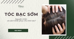 Tóc Bạc Sớm Tuổi Trung Niên: Nguyên Nhân Và Cách Khắc Phục