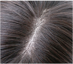 Tóc Giả Nữ Nguyên Đầu - Hai Mái Ngôi 7/3 Xoăn Ngang Vai | Wina