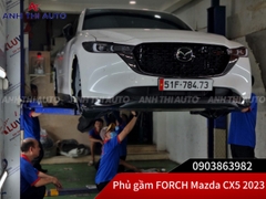 Sơn Phủ Gầm Forch