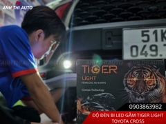 Bi Led Gầm Tiger Light