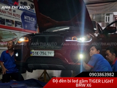 Bi Led Gầm Tiger Light