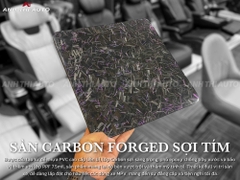 Tổng Hợp Mẫu Sàn Carbon Dòng Xe MPV