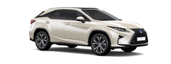 RX 450H Màu nâu vàng