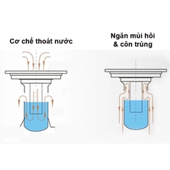 Phễu thoát sàn ngăn mùi 100%, ngăn côn trùng DAESUN DS 515 (10 x 10cm)mặt siêu dày