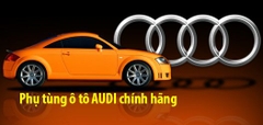 Cao su càng A trên Audi