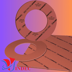 Gioăng Top-Chem 2005 KLINGER