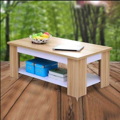BÀN TRÀ GỖ ĐƠN GIẢN CHO PHÒNG KHÁCH BT-033