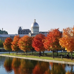 Du học Canada tại trường Upper Madison College