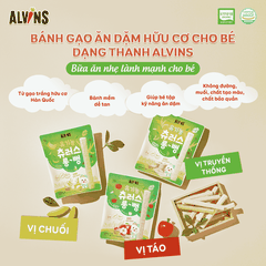 Bánh gạo ăn dặm hữu cơ cho bé dạng thanh vị táo Alvins 30g