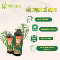 Nước Màu VIETNIPA 365g
