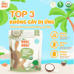 Bánh dừa cuộn giòn hữu cơ Nobi Nobi vị truyền thống 35g