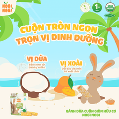 Bánh dừa cuộn giòn hữu cơ Nobi Nobi vị truyền thống 35g