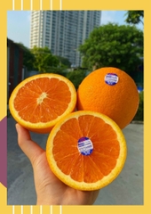 Cam ruột đỏ Úc