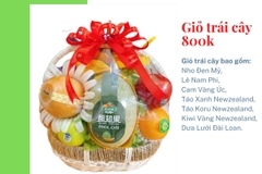 Giỏ trái cây 800k mã HL8006