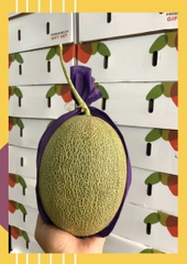 Dưa lưới Đài
