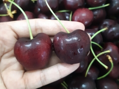 Giỏ trái cây cao cấp 32