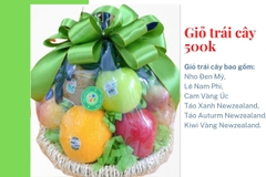 Giỏ trái cây 500k mã HL5002