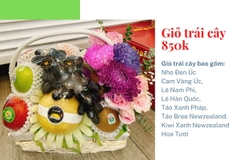 Giỏ Trái Cây 850k Mã HL8501