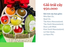 Giỏ Trái Cây 950k Mã HL9503