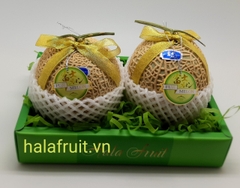 Hộp dưa Nhật Fuji Melon