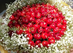 Bó hoa cherry size vừa