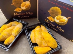 Sầu Riêng Musang King Malaysia hàng B
