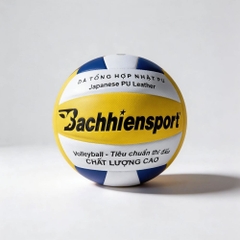 BÓNG CHUYỀN SAMPA VB8800