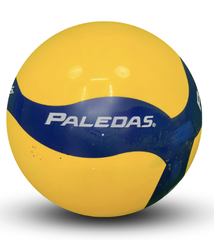 Bóng chuyền hơi Paledas