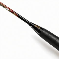 VỢT CẦU LÔNG PALEDAS BH8876