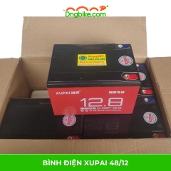 Bình điện XUPAI 48/12