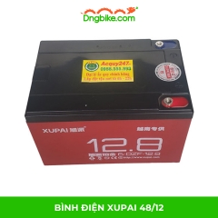 Bình điện XUPAI 48/12