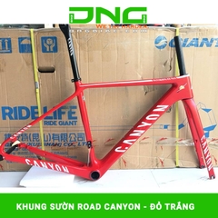 Khung sườn xe đạp đua CANYON SLX DISC CARBON