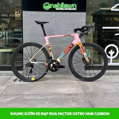 Khung sườn xe đạp đua FACTOR OSTRO VAM CARBON