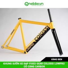 Khung sườn xe đạp Fixed Gear COLOSSI LOWPRO có càng carbon( đủ chén cổ+ cọc yên)