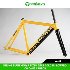 Khung sườn xe đạp Fixed Gear COLOSSI LOWPRO có càng carbon( đủ chén cổ+ cọc yên)