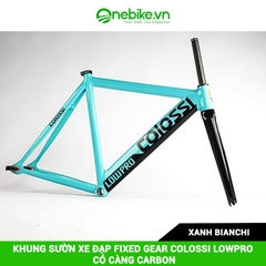 Khung sườn xe đạp Fixed Gear COLOSSI LOWPRO có càng carbon( đủ chén cổ+ cọc yên)