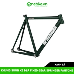 Khung sườn xe đạp Fixed Gear SPRINGER PANTONE