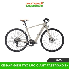 Xe đạp điện trợ lực GIANT FASTROAD E+