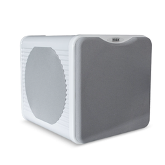 Loa Subwoofer Velodyne Acoustics MicroVee X
