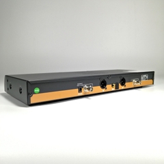 Micro không dây BBS E-250GS