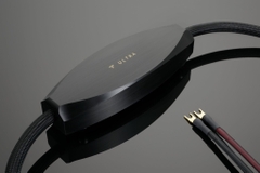 Dây Loa Transparent Ultra Speaker Cable Interconnect G6