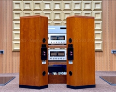Loa Tannoy D500 Gold đẹp xuất sắc