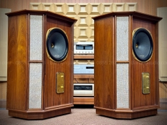 Loa Tannoy Memory TWW Đẹp Xuất Sắc