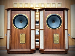 Loa Tannoy Memory TWW Đẹp Xuất Sắc