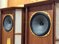 Loa Tannoy Memory TWW Đẹp Xuất Sắc