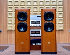 Loa Tannoy D500 Gold đẹp xuất sắc