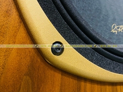 Loa Tannoy Memory HE Đẹp Xuất Sắc